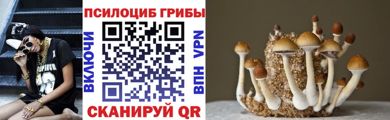 где купить наркоту  дарк нет как зайти  Псилоцибиновые грибы Psilocybine cubensis  Щёлкино 